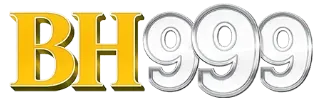 bh999 Bangladesh official channel logo